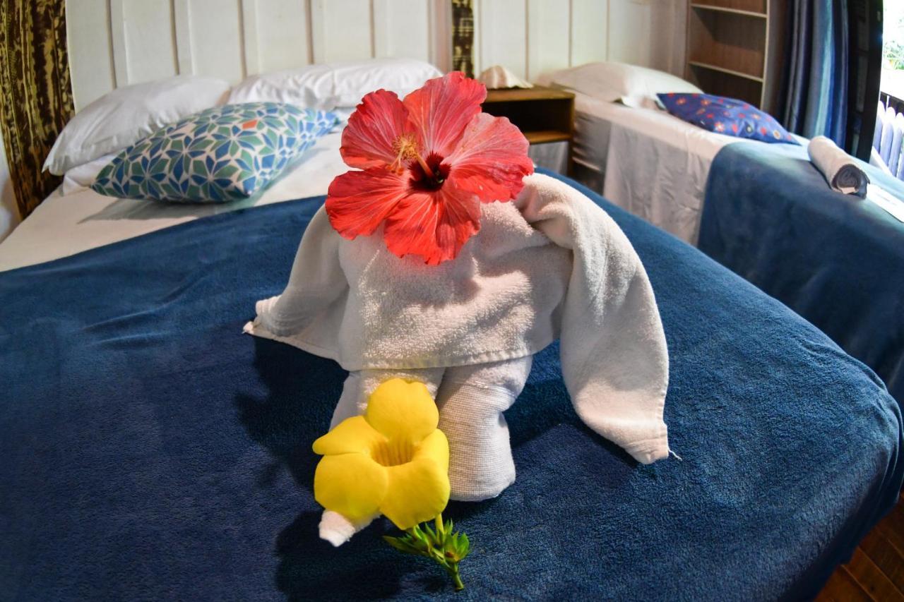 Pousada Beehouse Paranaguá 外观 照片